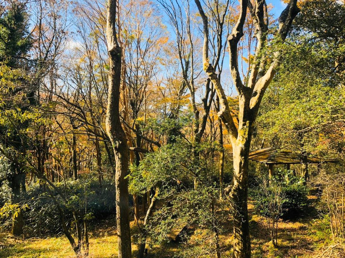 فندق Hakone Ashinoko Toranoyu المظهر الخارجي الصورة